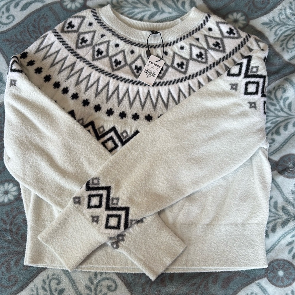 Unworn XS Express sweatshirt, mint green
